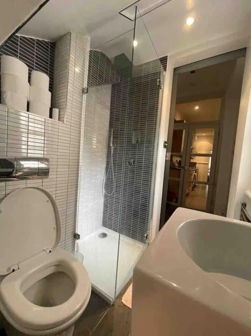 Large Studio Flat In Kensington 伦敦 外观 照片